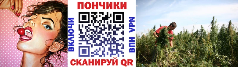 нарко площадка телеграм  Кыштым  Канабис индика  где можно купить наркотик 